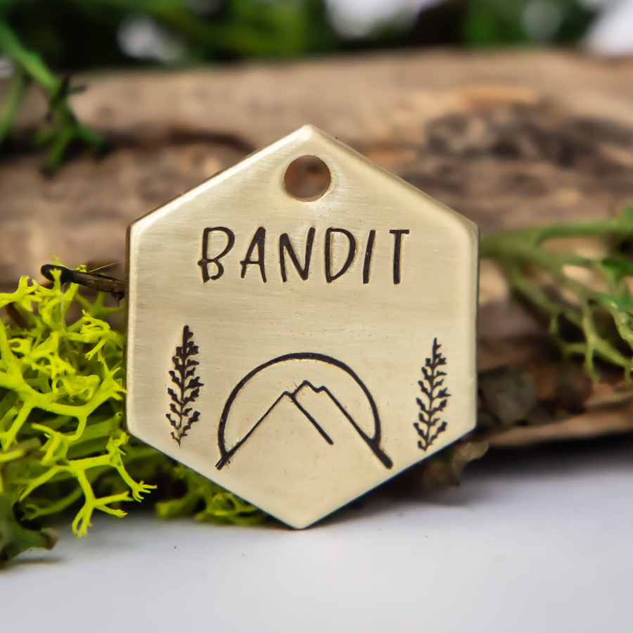 Hand Stamped Metal Pet Tags