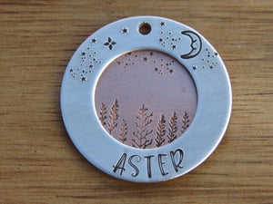 Native Wolf Pet Tags ASTER (DOUBLE)