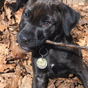 Native Wolf Pet Tags PUFFLES (DOUBLE)