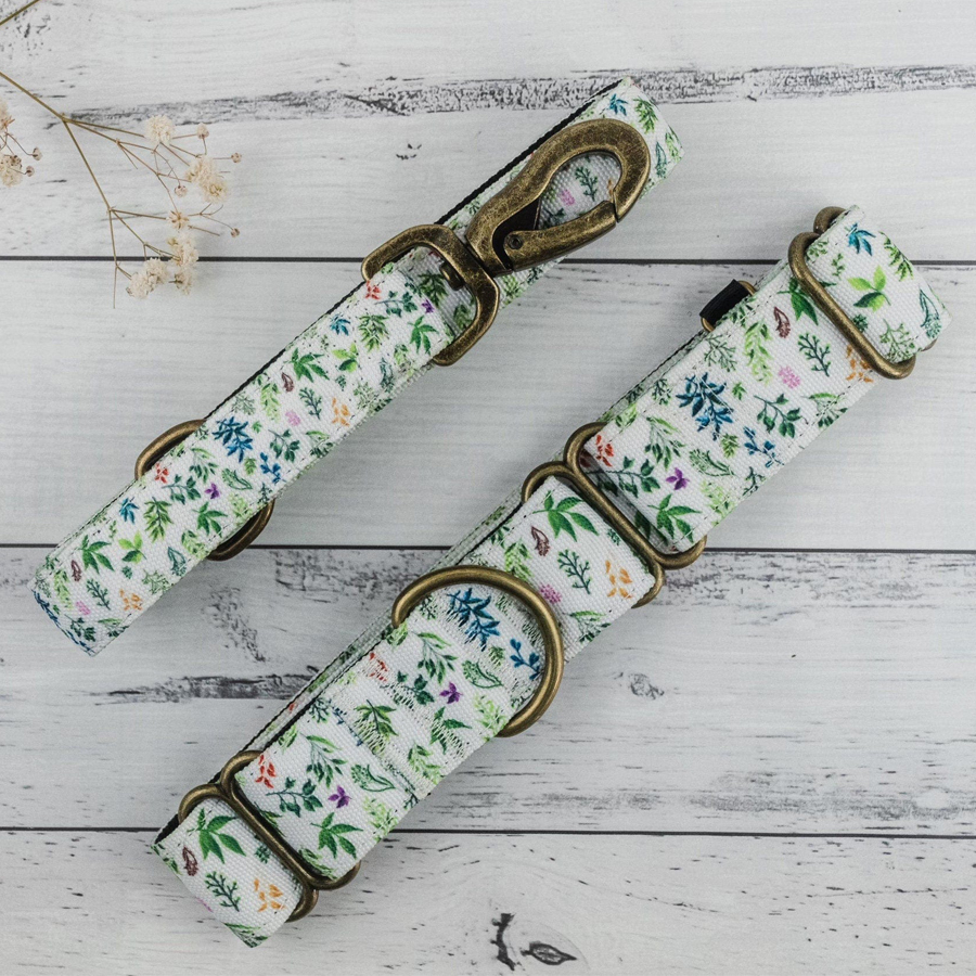 NATIVE WOLF COLLAR AND LEASH SETS