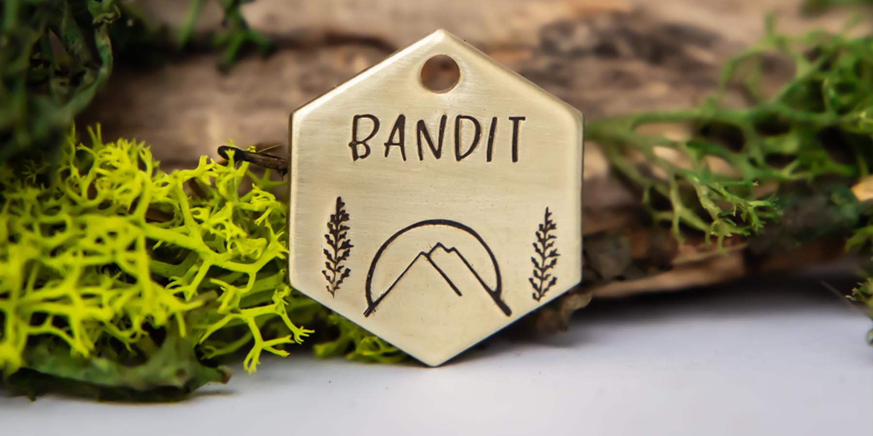 bandit_home_page