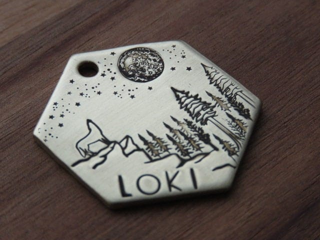 Loki deals dog tag