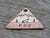 Native Wolf Pet Tags ROO