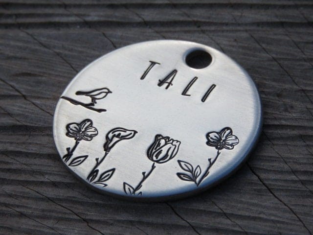 Native Wolf Pet Tags SCOUT