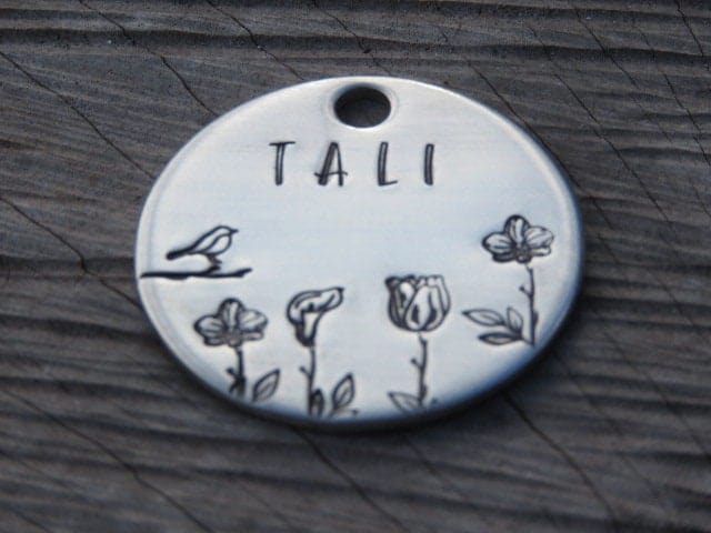 Native Wolf Pet Tags SCOUT