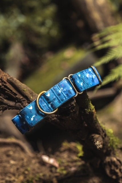 Outside Martingale Dog Collar and Leash Set - Mountain Pattern