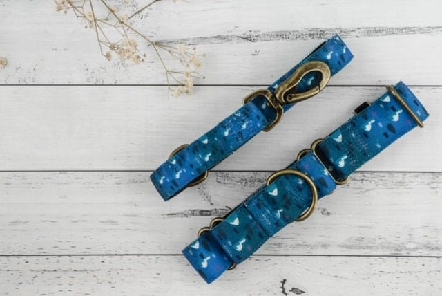 Outside Martingale Dog Collar and Leash Set - Mountain Pattern