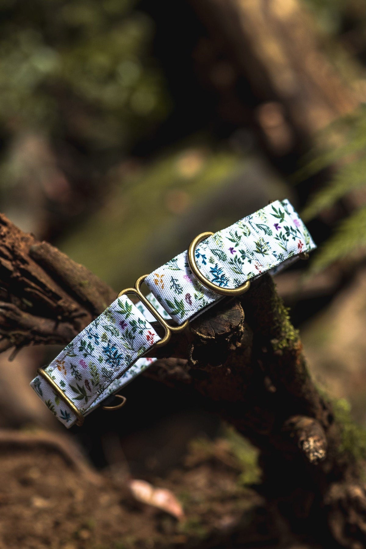 Outside Martingale Dog Collar and Leash Set - Plants and tree pattern