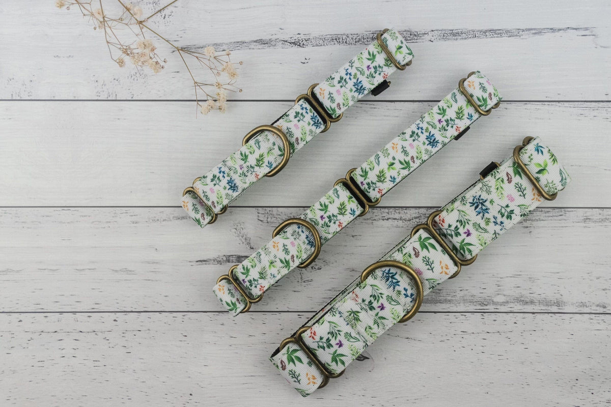 Outside Martingale Dog Collar and Leash Set - Plants and tree pattern