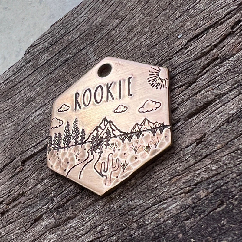 ROOKIE
