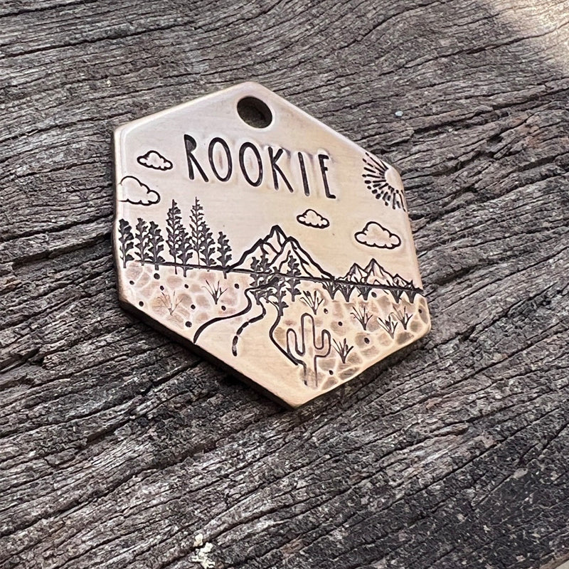 ROOKIE